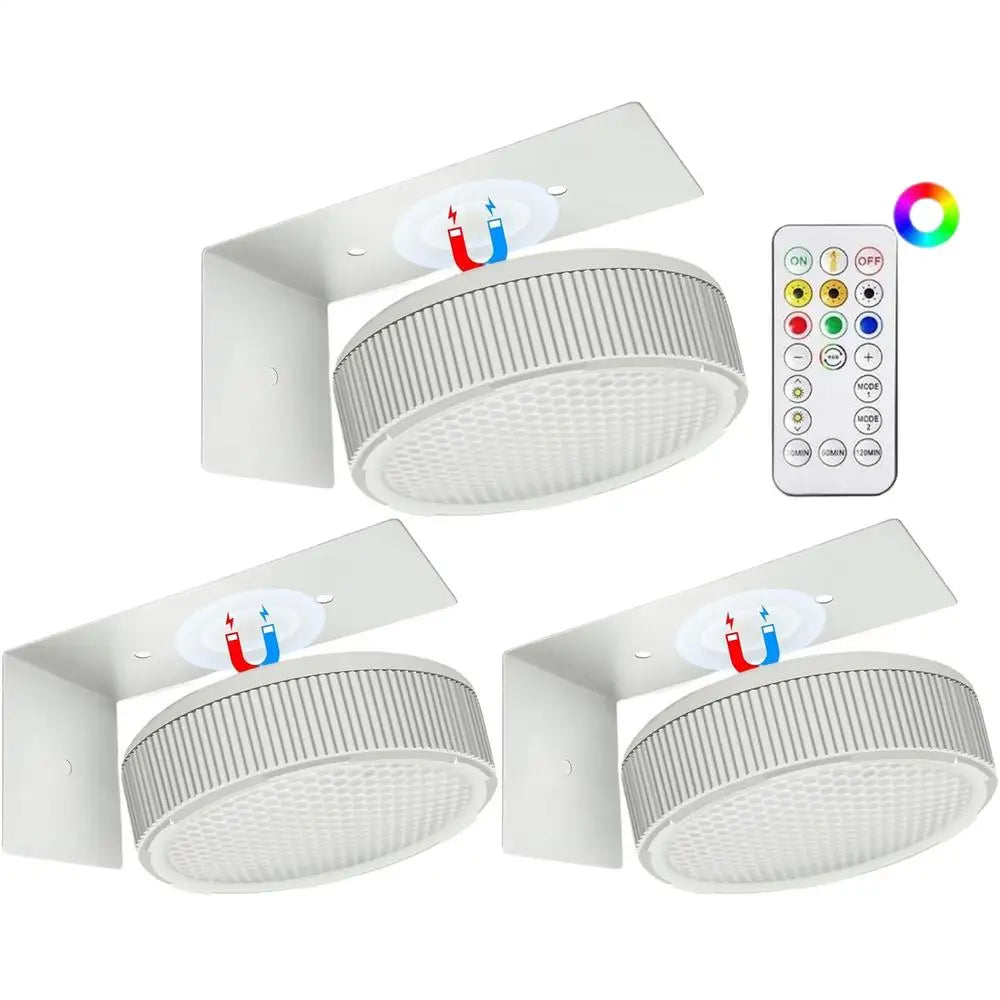 3 Pack Remote Control Wall Painting Light Adjustable Battery Powered Painting Lamp Dimmable Timer Art Display Novelty Lamp